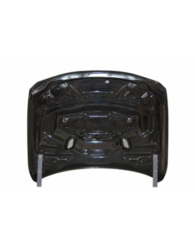 Capó Carbono BMW F30 / F31 / F32 / F33 / F36 Look GTR