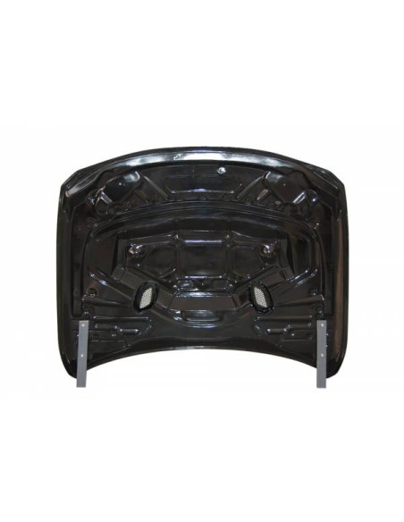 Capó Carbono BMW F30 / F31 / F32 / F33 / F36 Look GTR