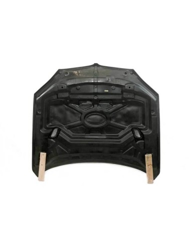 Capó Carbono BMW F16 / F15