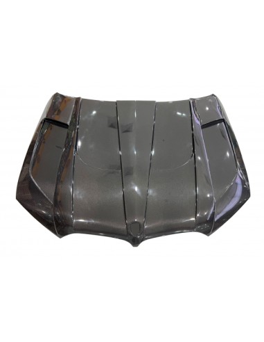 Capó Carbono BMW X5 G05 / G06 X6