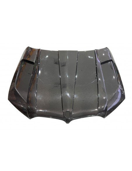 Capó Carbono BMW X5 G05 / G06 X6