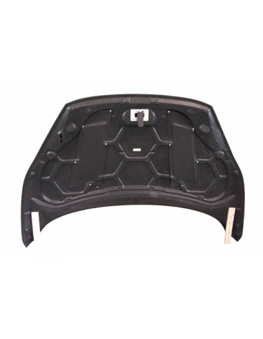 Capó Carbono Ford Fiesta 2014-2017 C/T
