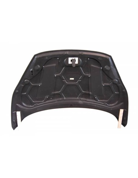 Capó Carbono Ford Fiesta 2014-2017 C/T