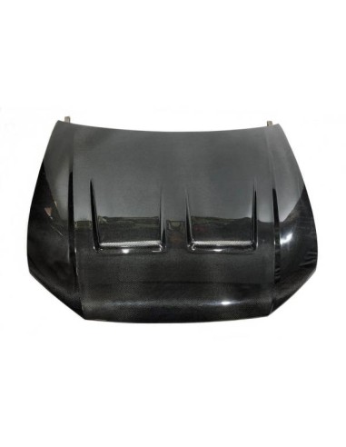 Capó Carbono Audi Q8