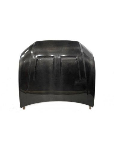 Capó Carbono Audi Q8