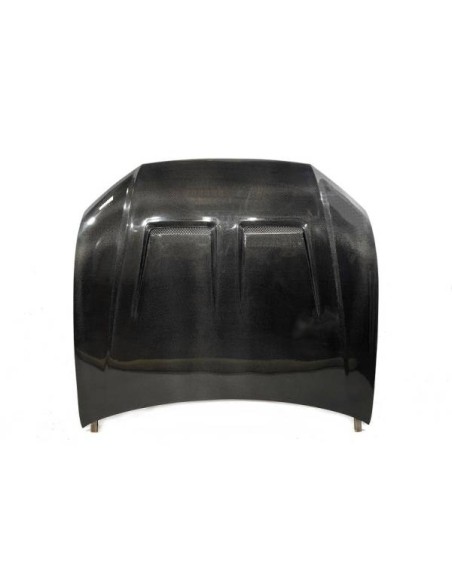 Capó Carbono Audi Q8