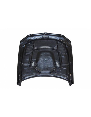 Capó Carbono BMW E92 / E93 Look M3 GTR