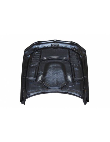 Capó Carbono BMW E92 / E93 Look M3 GTR