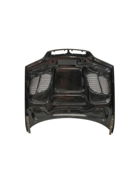 Capó Carbono BMW E46 Look M3 GTR