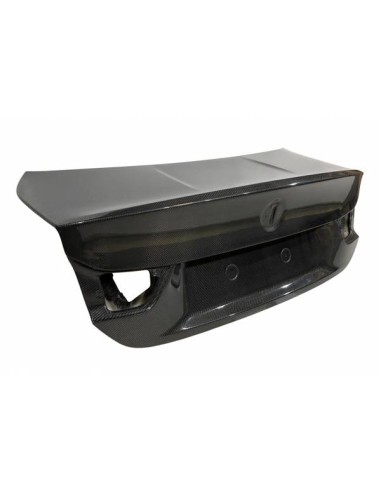 Portón Carbono BMW F82 CSL