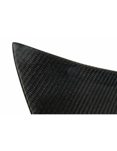 Portón Carbono BMW E46 99-05 2P/ E46 Look M3 CSL