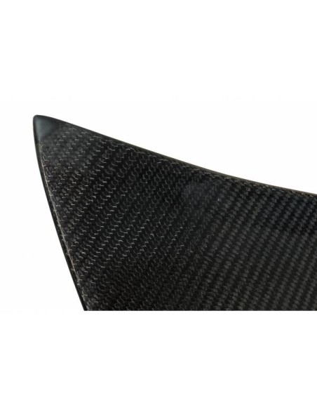 Portón Carbono BMW E46 99-05 2P/ E46 Look M3 CSL