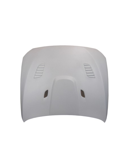 Capó De Fibra BMW F10 look GTR