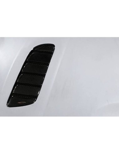 Capó Fibra BMW F20/F21 2012-2019  /  F22/F23 2014+ / F87 Look M3 Con Toma Look Carbono