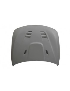 Capó Fibra BMW F30 / F31 /... 2