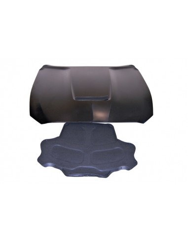 Capó Ford Mustang 2015-2017 look GT350 Metal