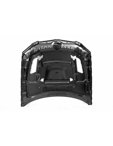 Capó BMW E92 / E93 10-13 LCI Look M3 GTR Metal