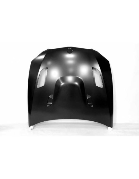 Capó BMW E92 / E93 10-13 LCI Look M3 GTR Metal