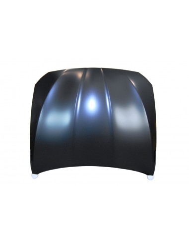 Capó BMW F10 / F11 10-16 Aluminio