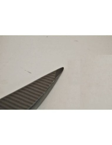 Alerón BMW F13 2012-2016 Carbono II...