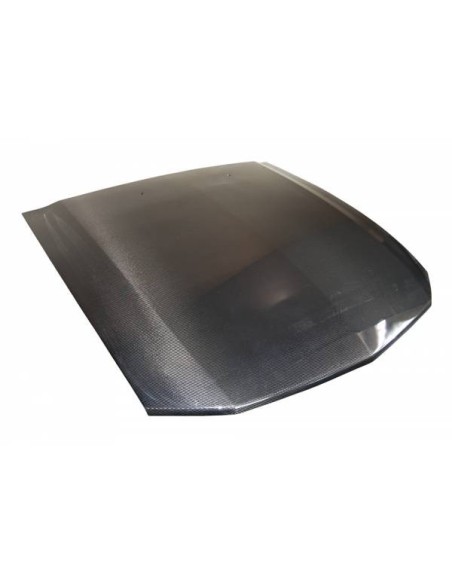 Portón Carbono BMW E46 98-05 4P CSL