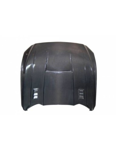 Portón Carbono BMW E82 CSL