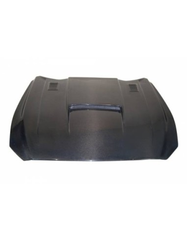 Portón Carbono BMW E82 CSL