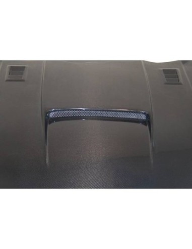 Portón Carbono BMW E82 CSL