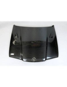 Portón Carbono BMW G20 /...