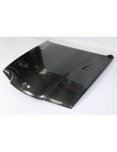 Portón Carbono BMW G20 / G28 Look CSL
