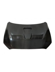 Portón Carbono Mitsubishi... 2