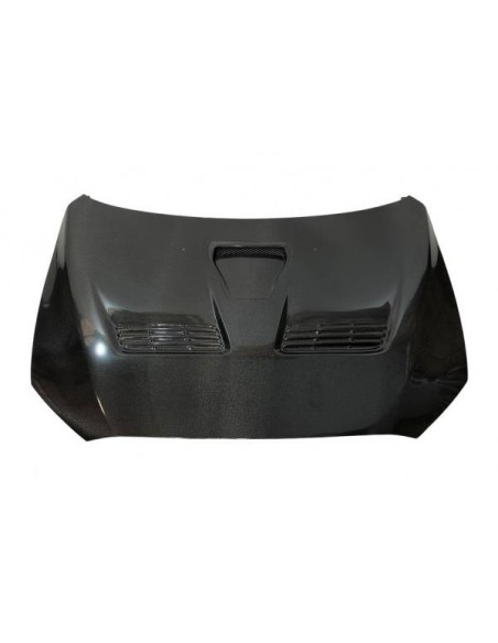 Portón Carbono Mitsubishi Evo VII / VIII / IX