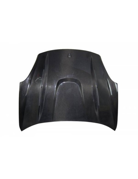 Portón Carbono BMW E92 / E92 Look M3 CSL Eric