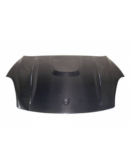 Portón Carbono BMW E92 / E92 Look M3 CSL Eric