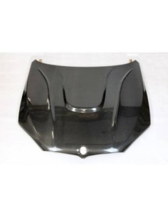 Portón Carbono BMW E92 /...