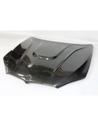 Portón Carbono BMW E92 / E92 Look M3 CSL