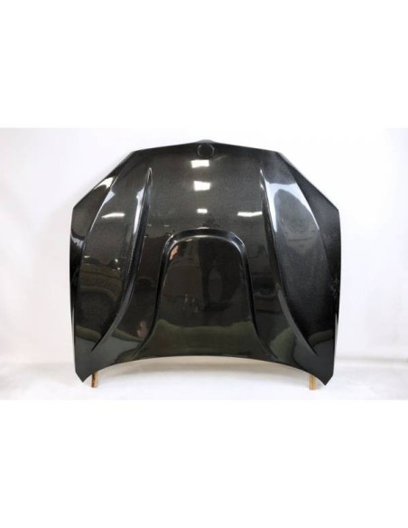 Portón Carbono BMW E92 / E92 Look M3 CSL