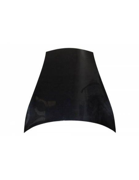 Portón Carbono BMW E46 99-05 2P/ E46 Look M3 CSL