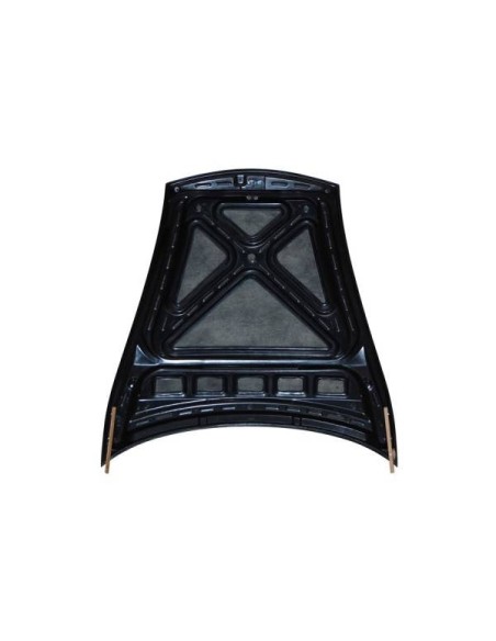 Portón Carbono BMW E46 99-05 2P/ E46 Look M3 CSL