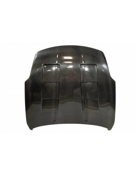 Portón Carbono BMW E39 95-03 CSL