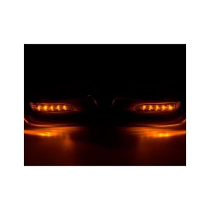 Cubierta de espejo cubierta... 2